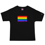 #GAYPRIDEFLAG Men's Champion T-Shirt